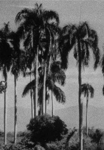 Haiti image