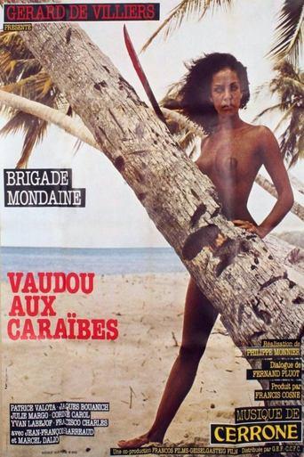 Brigade mondaine: Vaudou aux Caraïbes image