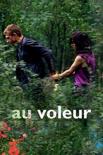 Au voleur image