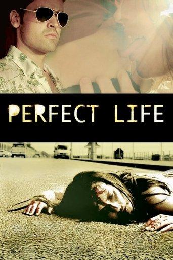 Perfect Life image