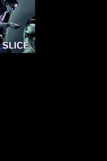 Slice image