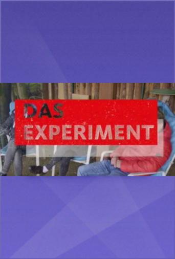 Das Experiment