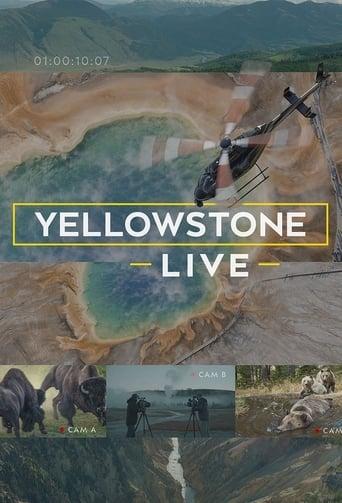 Yellowstone LIVE (TV Mini-Series 2018)
