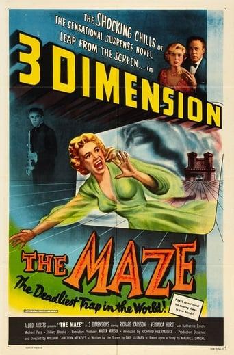 The Maze image