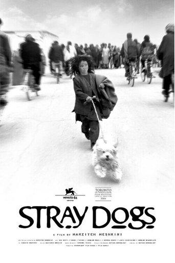 Stray Dogs image