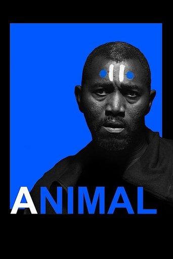 Animal image