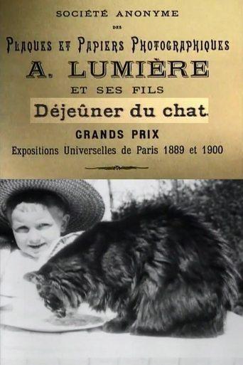 Le Déjeuner du Chat