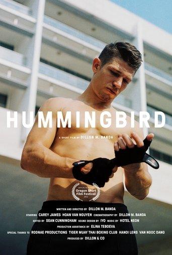 Hummingbird image