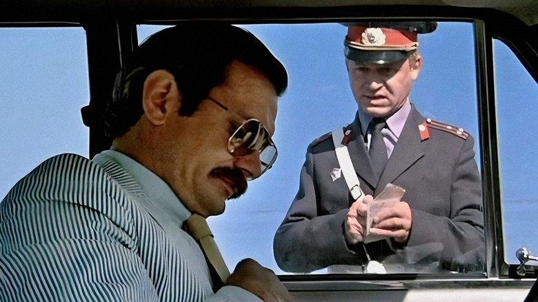 Traffic Officer image