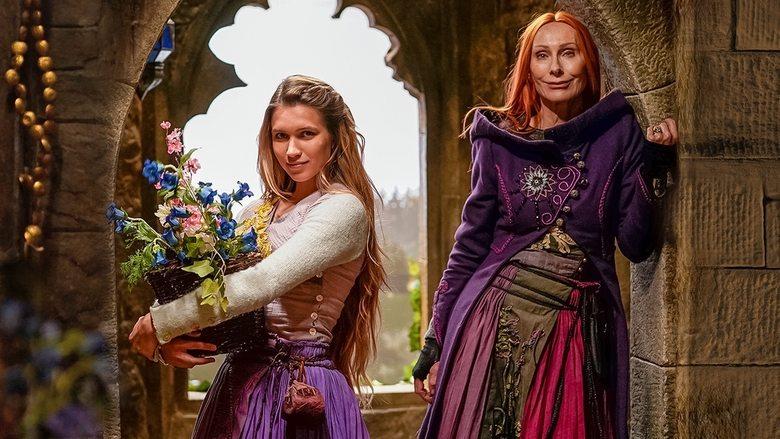 Rapunzel and the Return of the Falcons image