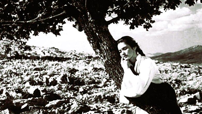 The Girl and the Oak image