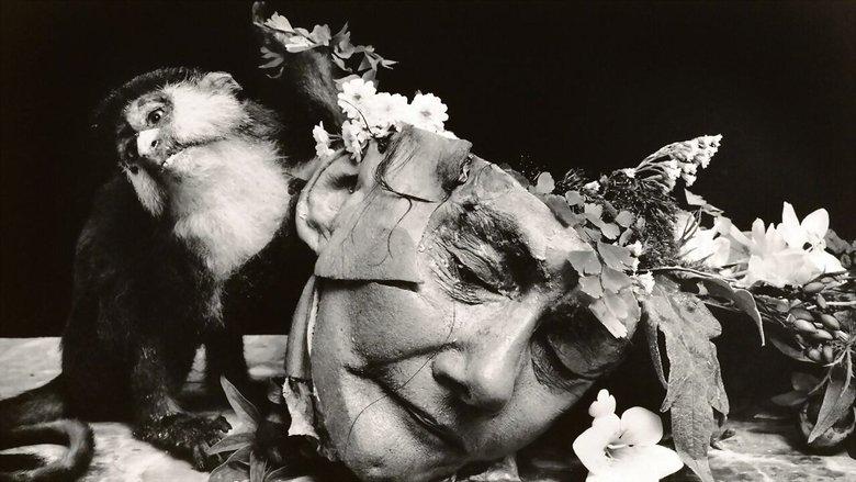 Witkin & Witkin image
