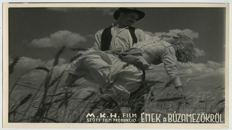 Song of the Cornfields image