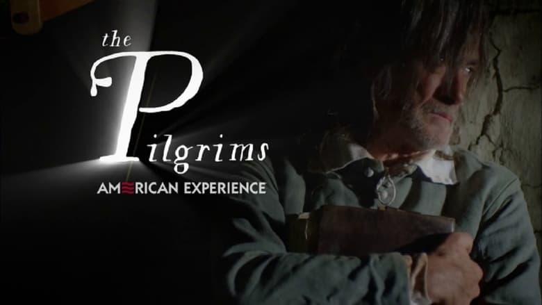The Pilgrims image