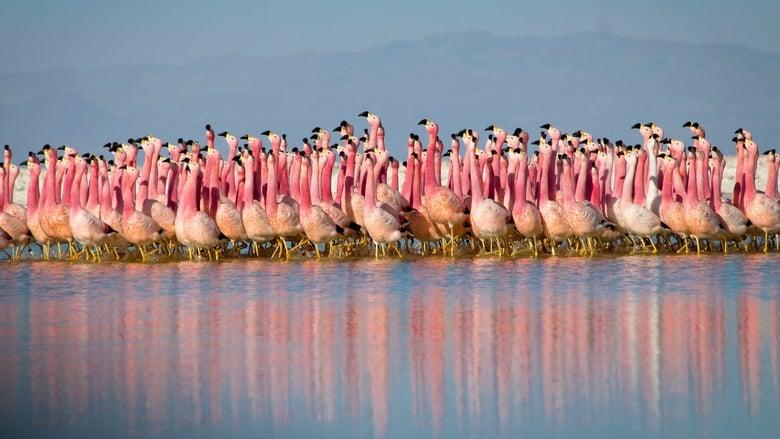 Planet Earth II image