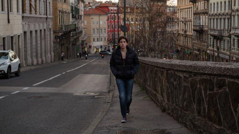 The Girl Has Flown image