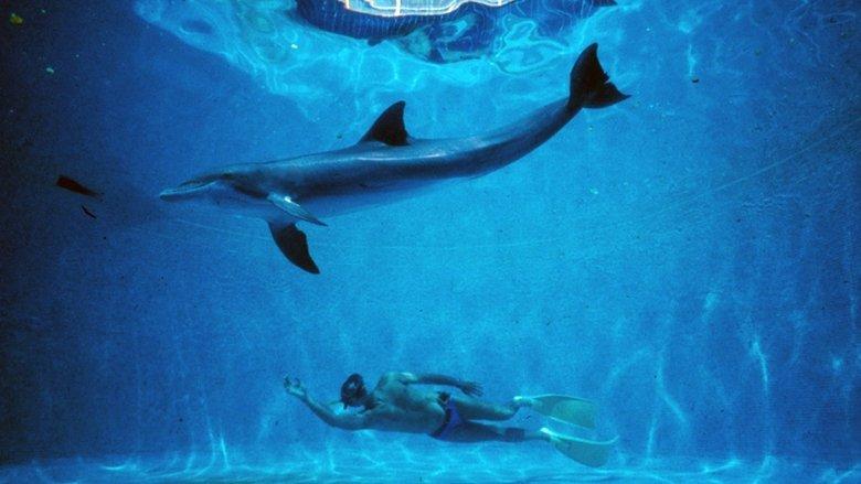The Big Blue image