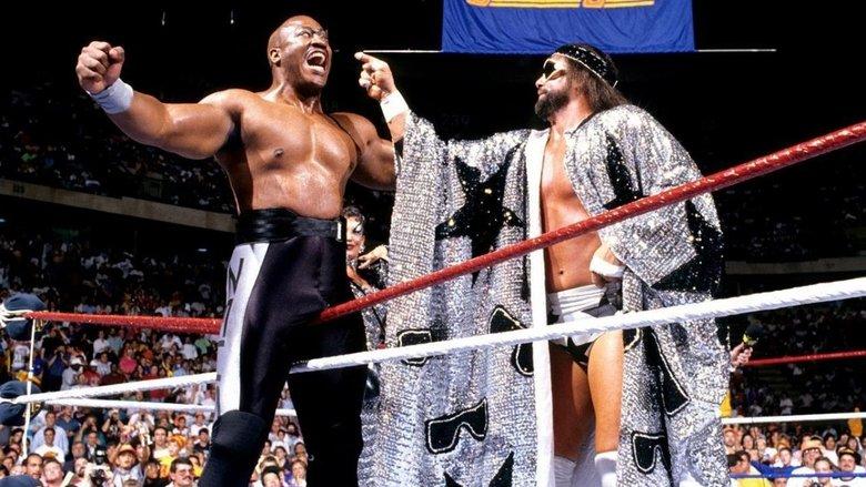 WWE SummerSlam 1989 image