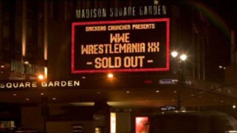 WWE: Best of WWE at Madison Square Garden image