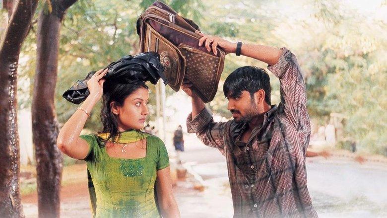 7G Rainbow Colony image