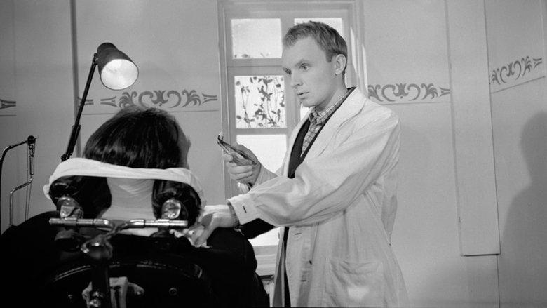 Adventures of a Dentist image