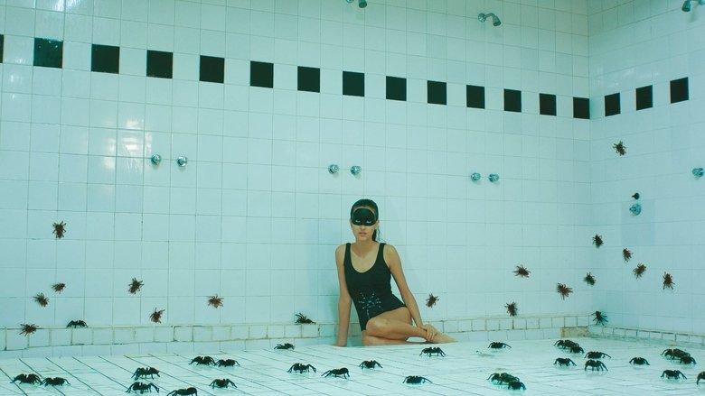 Arachnids image