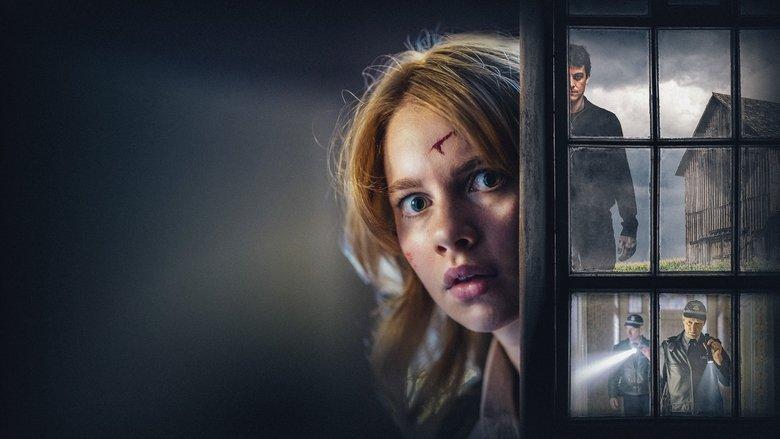 Girl at the Window image