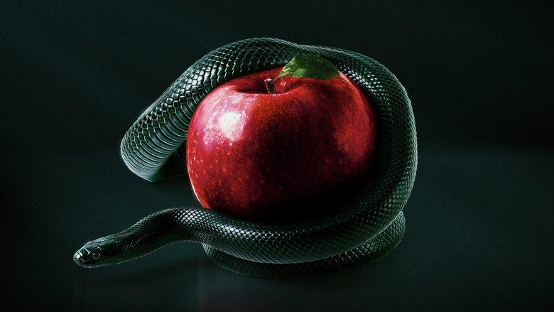 Bible Secrets Revealed image