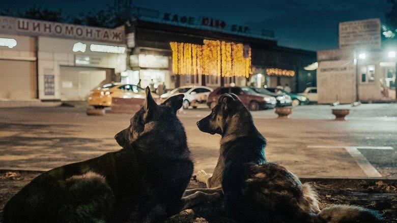Space Dogs image