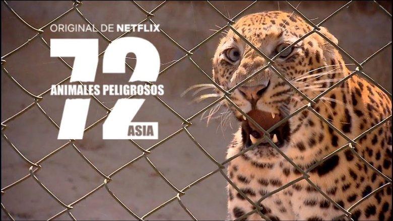 72 Dangerous Animals: Asia image