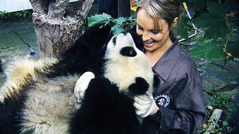 Sneezing Baby Panda: The Movie image