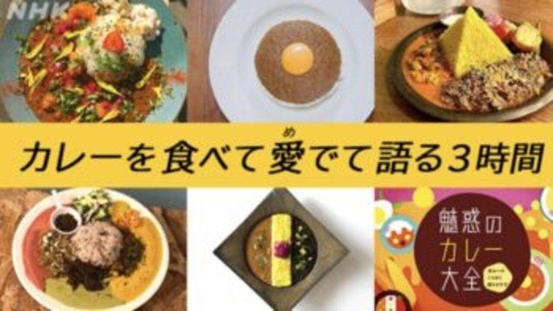 魅惑のカレー大全 image
