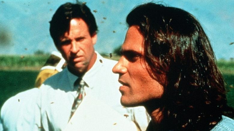 Deadly Invasion: The Killer Bee Nightmare image