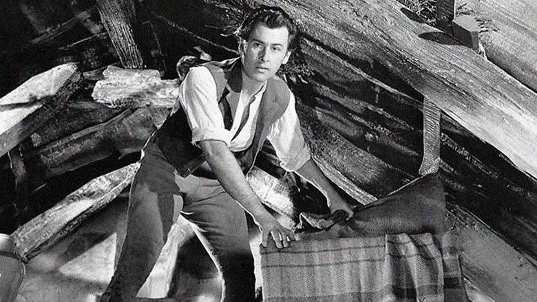 Captain Boycott image