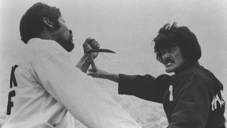 The Karate 3 image