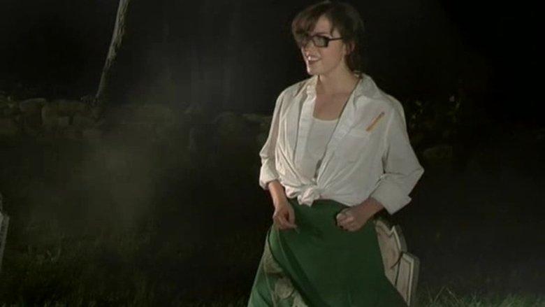 The Sexy Adventures of Van Helsing image
