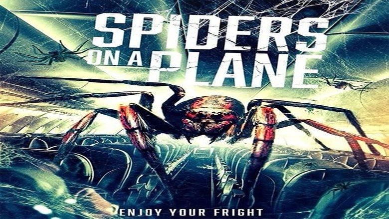 Spiders on a Plane image