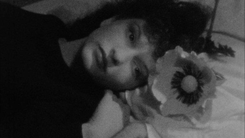 Meshes of the Afternoon image