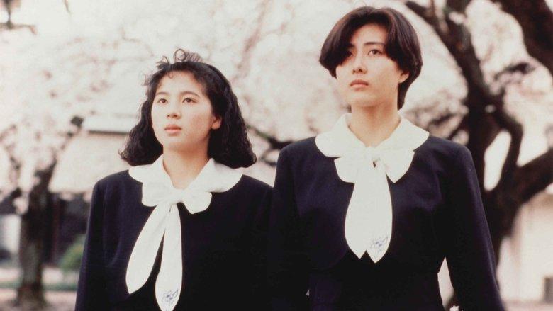 The Cherry Orchard image