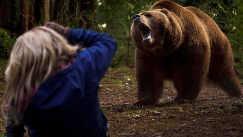 Grizzly Rage image