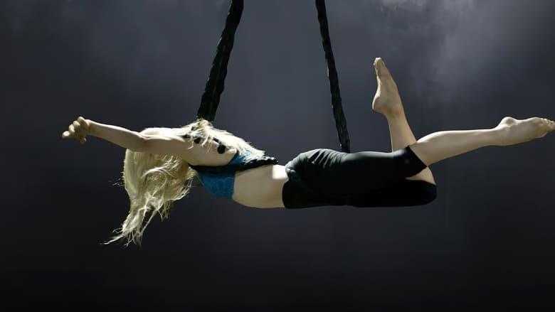 The Aerialist image
