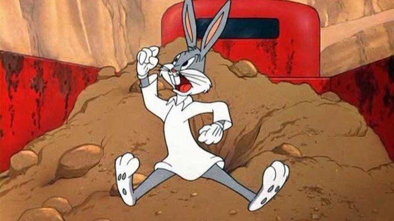 Homeless Hare image