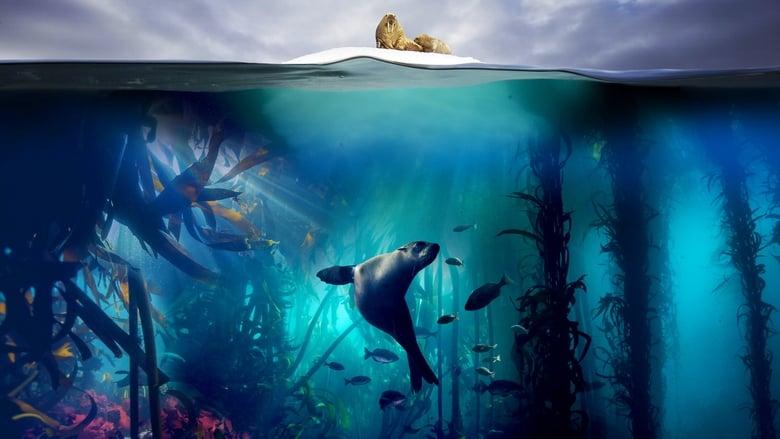 Blue Planet II image
