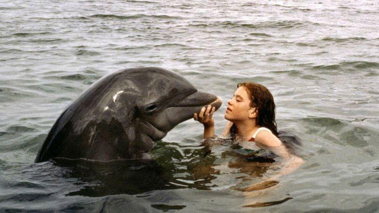 Tadpole and the Whale image