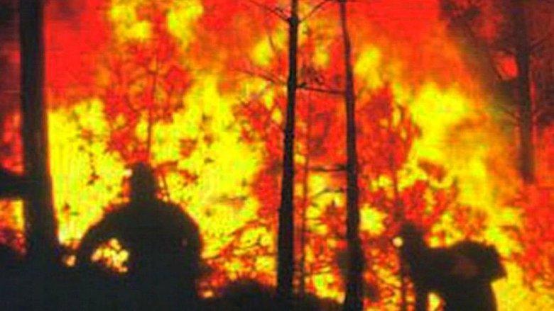 In the Line of Duty: Smoke Jumpers image