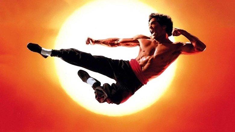 Dragon: The Bruce Lee Story image