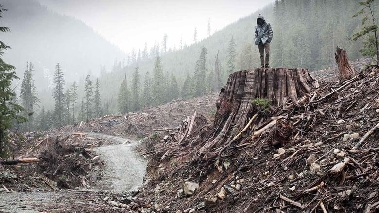 If a Tree Falls: A Story of the Earth Liberation Front image