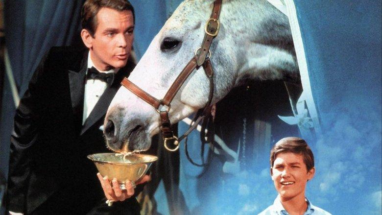 The Horse in the Gray Flannel Suit image