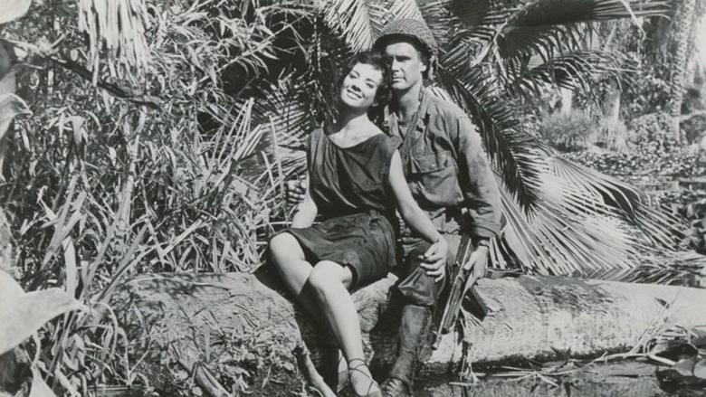 Blood and Steel image