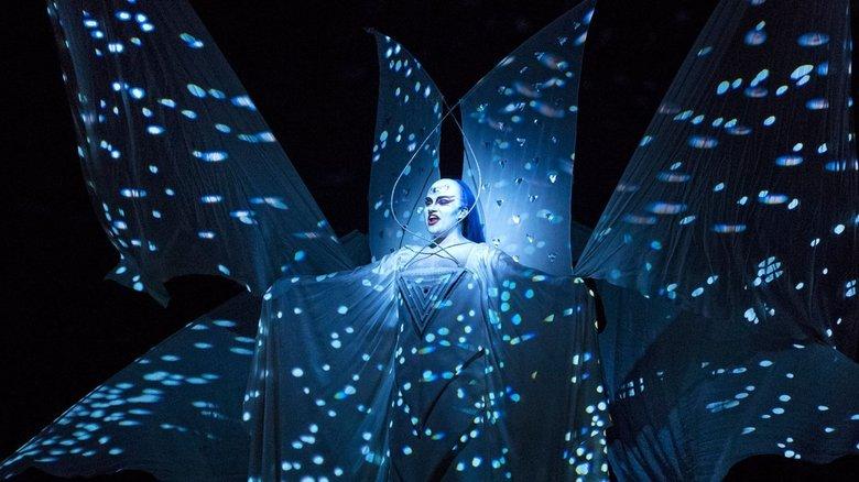 The Magic Flute image